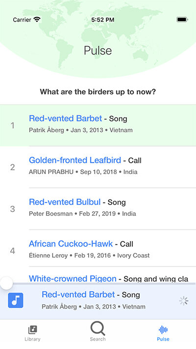 Pulse: recent recordings from birders around the world